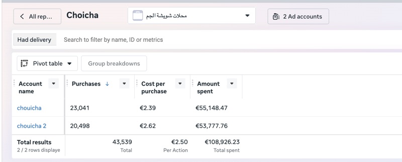 Meta Ads Results